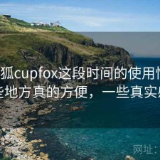茶杯狐cupfox这段时间的使用情况：哪些地方真的方便，一些真实感受