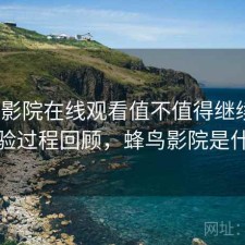 蜂鸟影院在线观看值不值得继续用？体验过程回顾，蜂鸟影院是什么