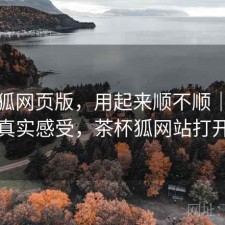 茶杯狐网页版，用起来顺不顺｜一些真实感受，茶杯狐网站打开