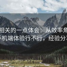 糖心相关的一点体会：从效率角度来看手机端体验行不行，经验分享版