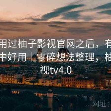 实际用过柚子影视官网之后，有没有想象中好用｜零碎想法整理，柚子影视tv4.0