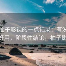 关于柚子影视的一点记录：有没有想象中好用，阶段性结论，柚子影视pc
