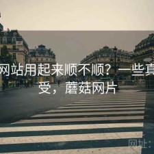 蘑菇网站用起来顺不顺？一些真实感受，蘑菇网片