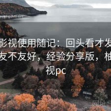柚子影视使用随记：回头看才发现对新手友不友好，经验分享版，柚子影视pc