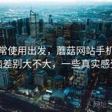 从日常使用出发，蘑菇网站手机和电脑差别大不大，一些真实感受