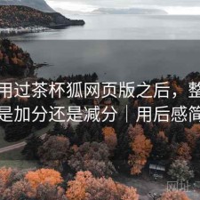 实际用过茶杯狐网页版之后，整体体验是加分还是减分｜用后感简述