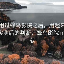 实际用过蜂鸟影院之后，用起来顺不顺｜实测后的判断，蜂鸟影院 mkv 下载