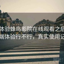 实际体验蜂鸟影院在线观看之后：手机端体验行不行，真实使用记录