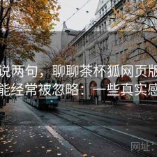 随便说两句，聊聊茶杯狐网页版哪些功能经常被忽略：一些真实感受