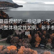关于蘑菇视频的一些记录：不少人私下会问整体稳定性如何，新手参考说明