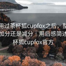 实际用过茶杯狐cupfox之后，整体体验是加分还是减分｜用后感简述，茶杯狐cupfox官方