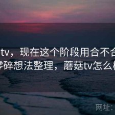 蘑菇tv，现在这个阶段用合不合适｜零碎想法整理，蘑菇tv怎么样