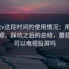 蘑菇tv这段时间的使用情况：用起来顺不顺，踩坑之后的总结，蘑菇影视可以电视投屏吗