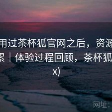 实际用过茶杯狐官网之后，资源查找累不累｜体验过程回顾，茶杯狐(upfox)