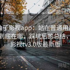 聊聊柚子影视app：站在普通用户视角优势到底在哪，踩坑后的总结，柚子影视tv3.0版最新版