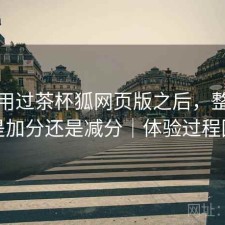 实际用过茶杯狐网页版之后，整体体验是加分还是减分｜体验过程回顾