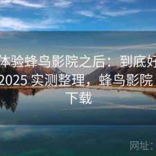 实际体验蜂鸟影院之后：到底好不好用，2025 实测整理，蜂鸟影院 mkv 下载