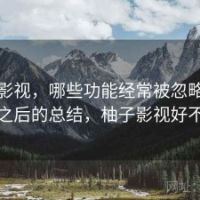 柚子影视，哪些功能经常被忽略｜踩坑之后的总结，柚子影视好不好