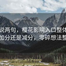 随便说两句，樱花影院入口整体体验是加分还是减分，零碎想法整理