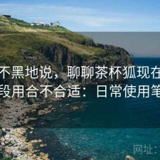 不吹不黑地说，聊聊茶杯狐现在这个阶段用合不合适：日常使用笔记