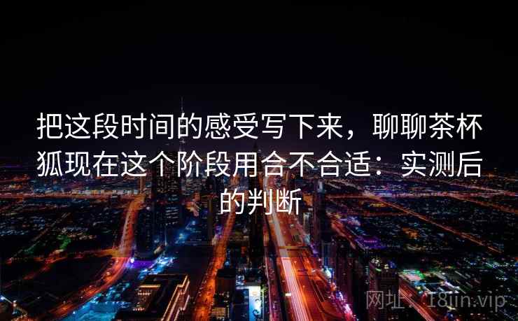 把这段时间的感受写下来，聊聊茶杯狐现在这个阶段用合不合适：实测后的判断  第2张