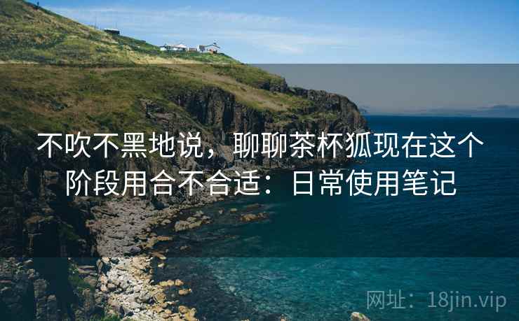 不吹不黑地说，聊聊茶杯狐现在这个阶段用合不合适：日常使用笔记  第1张