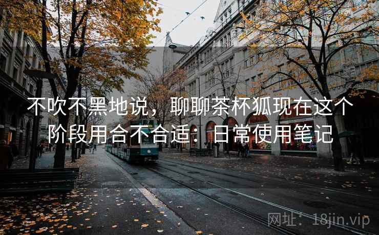 不吹不黑地说，聊聊茶杯狐现在这个阶段用合不合适：日常使用笔记  第2张